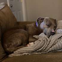 Thumbnail photo of Daisy #4