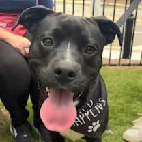 Thumbnail photo of Micah #1