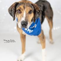 Thumbnail photo of Ralph #1