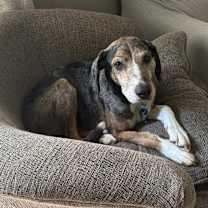 Thumbnail photo of Ralph #2