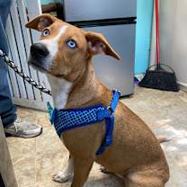 Thumbnail photo of Sky #1