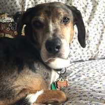 Thumbnail photo of Ralph #3