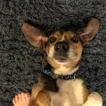 Thumbnail photo of Ralph #4