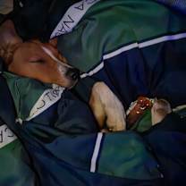 Thumbnail photo of Sky #4