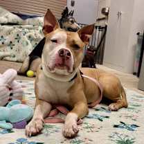 Thumbnail photo of Tito #2