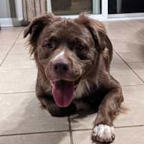 Thumbnail photo of Priscilla Cobb #2