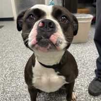 Thumbnail photo of LOLA #2