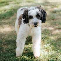 Thumbnail photo of Gerry #1