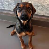 Thumbnail photo of Sosa #1