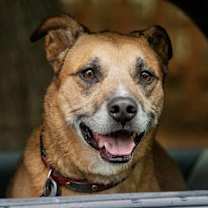 Thumbnail photo of Freyja #3