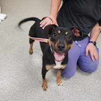 Thumbnail photo of Hopper #2