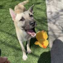 Thumbnail photo of Happy #2