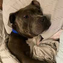 Thumbnail photo of Benton #2