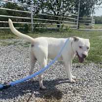 Thumbnail photo of Stewie #1