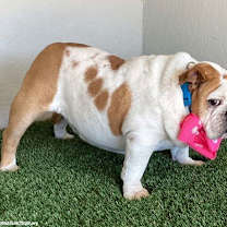 Thumbnail photo of Matilda #2