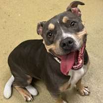 Thumbnail photo of Lulu #1