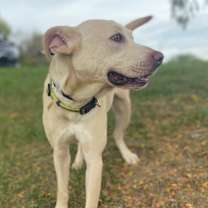 Thumbnail photo of Lucky #4