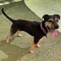 Thumbnail photo of Cece #3