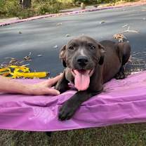 Thumbnail photo of Marshall #2