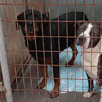 Thumbnail photo of Coffee #2