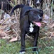 Thumbnail photo of Lizzie #2