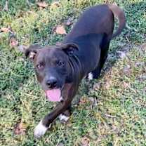 Thumbnail photo of Lilly #1