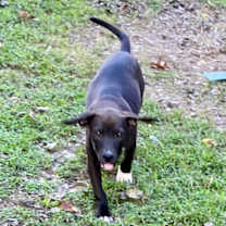 Thumbnail photo of Lilly #2