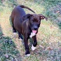 Thumbnail photo of Lilly #3