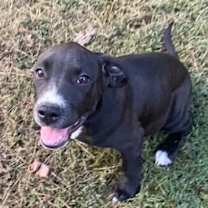 Thumbnail photo of Lauren #1