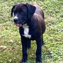 Thumbnail photo of Lauren #3