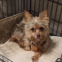 Thumbnail photo of Hannah #4