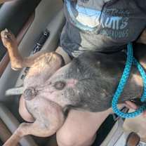 Thumbnail photo of Murphy #4