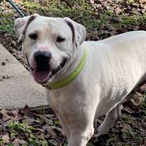 Thumbnail photo of Prilosec #1