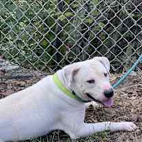 Thumbnail photo of Prilosec #4