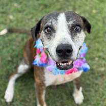 Thumbnail photo of Gaia #1