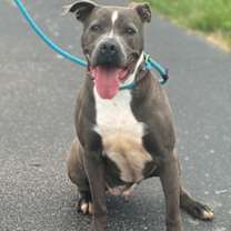 Thumbnail photo of Marlo #1