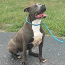 Thumbnail photo of Marlo #3