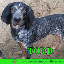 Thumbnail photo of Todd #1