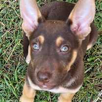 Thumbnail photo of Debby #1