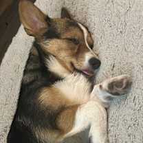 Thumbnail photo of Timmy #3