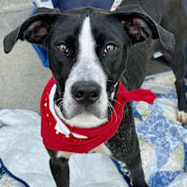 Thumbnail photo of Karma #3