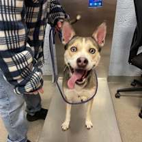 Thumbnail photo of Jada #3