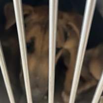 Thumbnail photo of Union #2