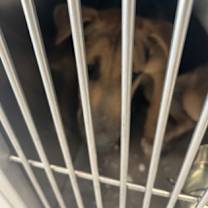 Thumbnail photo of Union #3