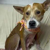 Thumbnail photo of Chrissy  #2