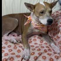 Thumbnail photo of Chrissy  #3