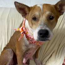 Thumbnail photo of Chrissy  #4