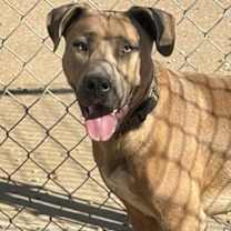 Thumbnail photo of George #1