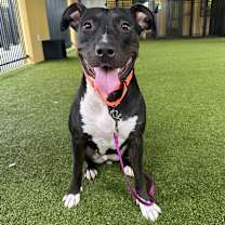 Thumbnail photo of Hillary #2