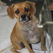 Thumbnail photo of Morgan, Sparrow and Hook #3